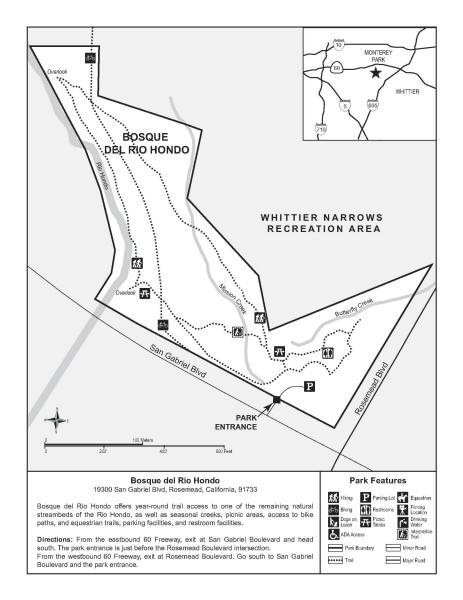 Bosque del Rio Hondo.jpg (255985 bytes)